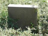 image of grave number 458310